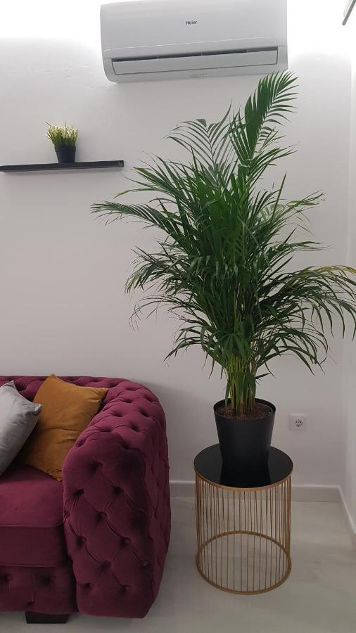 Apartamento Pepi Puerto (Adults Only) ซานตาโปลา ภายนอก รูปภาพ